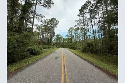 242 Lakeway Drive, Georgetown, FL 32139 - Photo 3