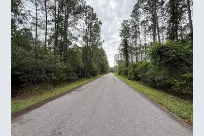 242 Lakeway Drive, Georgetown, FL 32139 - Photo 5