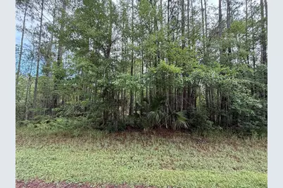 242 Lakeway Drive, Georgetown, FL 32139 - Photo 1