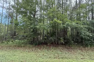 242 Lakeway Dr, Georgetown, FL 32139 - Photo 1