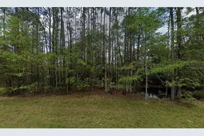 242 Lakeway Drive, Georgetown, FL 32139 - Photo 7