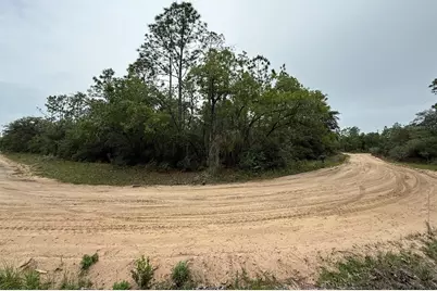 111 Brass Street, Interlachen, FL 32148 - Photo 1