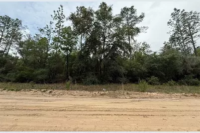 111 Brass Street, Interlachen, FL 32148 - Photo 7