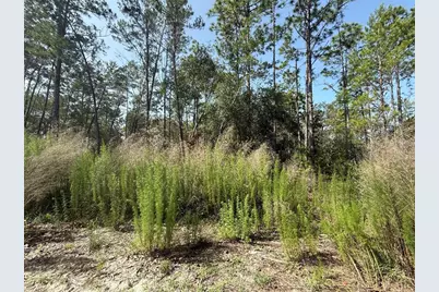 101 Washington Avenue, Satsuma, FL 32189 - Photo 3