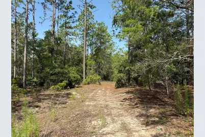 101 Washington Avenue, Satsuma, FL 32189 - Photo 1