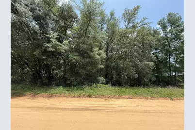 604 Kitty, Interlachen, FL 32148 - Photo 5