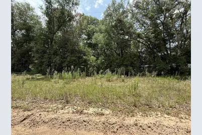 119 Smokey Avenue, Interlachen, FL 32148 - Photo 1