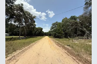 119 Smokey Avenue, Interlachen, FL 32148 - Photo 5