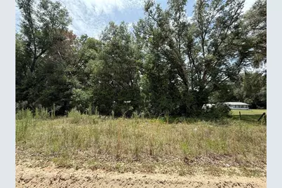 119 Smokey Avenue, Interlachen, FL 32148 - Photo 3