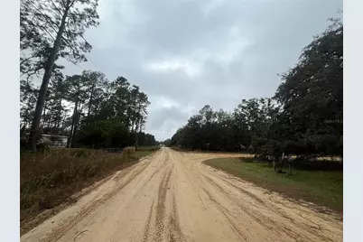 Susan Street, Interlachen, FL 32148 - Photo 9