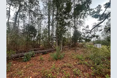 Susan Street, Interlachen, FL 32148 - Photo 7