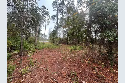 Susan Street, Interlachen, FL 32148 - Photo 5