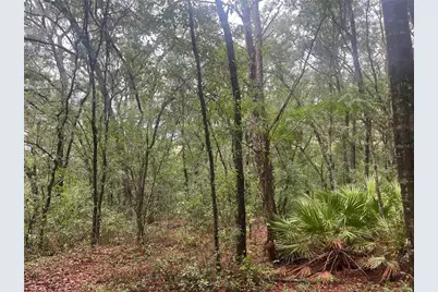 Tbd Delaware Avenue, Interlachen, FL 32148 - Photo 1