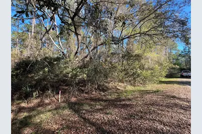 104 SE 5th Street, Georgetown, FL 32139 - Photo 3