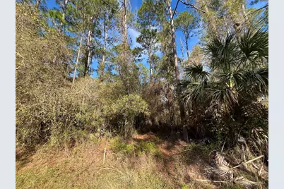 104 SE 5th Street, Georgetown, FL 32139 - Photo 5