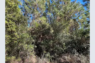 223 Mourning Dove Road, Satsuma, FL 32189 - Photo 3