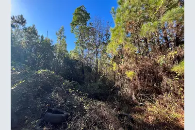 223 Mourning Dove Road, Satsuma, FL 32189 - Photo 1