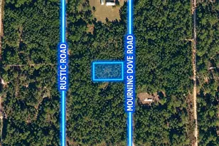 223 Mourning Dove Rd, Satsuma, FL 32189 - Photo 1