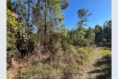 223 Mourning Dove Road, Satsuma, FL 32189 - Photo 7