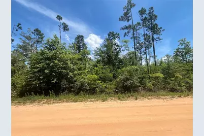 Tamarac Road, Marianna, FL 32448 - Photo 1