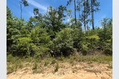 Tamarac Road, Marianna, FL 32448 - Photo 3