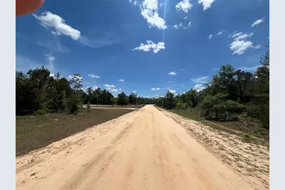 Tbd Magnolia Lane, Marianna, FL 32448 - Photo 3