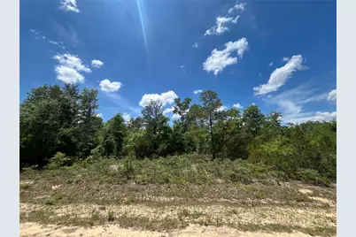 Tbd Magnolia Lane, Marianna, FL 32448 - Photo 7