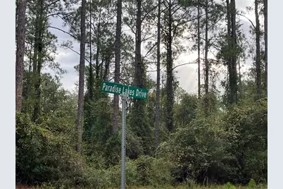 108 SE 5th Street, Georgetown, FL 32139 - Photo 5