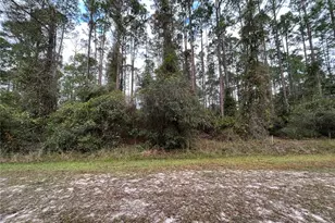 108 SE 5th St, Georgetown, FL 32139 - Photo 1