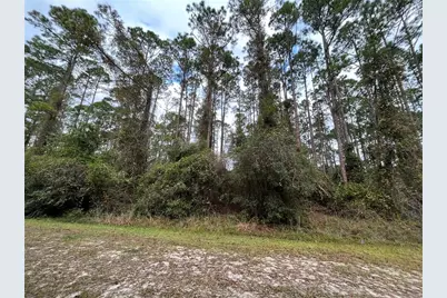 108 SE 5th Street, Georgetown, FL 32139 - Photo 3