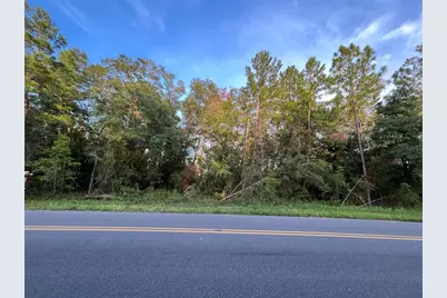 Tbd Twin Lakes Road, Interlachen, FL 32148 - Photo 9