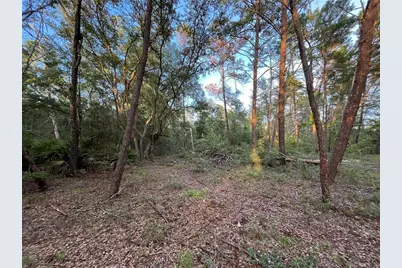 Tbd Twin Lakes Road, Interlachen, FL 32148 - Photo 5