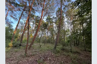 Tbd Twin Lakes Road, Interlachen, FL 32148 - Photo 7