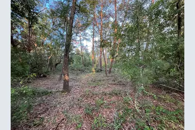 Tbd Twin Lakes Road, Interlachen, FL 32148 - Photo 3