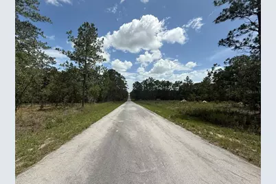 Nw Tree Top Road, Dunnellon, FL 34431 - Photo 9