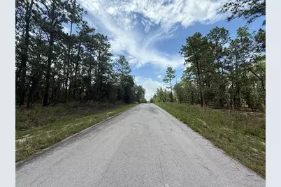 Nw Tree Top Road, Dunnellon, FL 34431 - Photo 5
