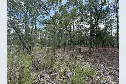 Nw Tree Top Road, Dunnellon, FL 34431 - Photo 3