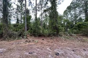 147 Roebuck St, Georgetown, FL 32139 - Photo 1