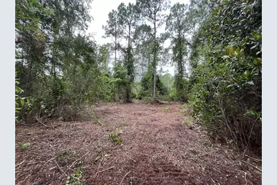 147 Roebuck Street, Georgetown, FL 32139 - Photo 5