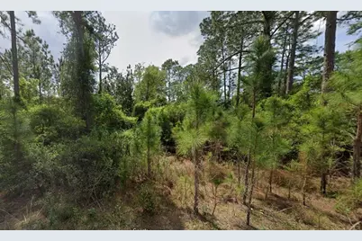 147 Roebuck Street, Georgetown, FL 32139 - Photo 11