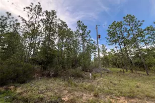 124 New York Ave, Interlachen, FL 32148 - Photo 1