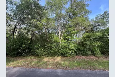 6634 N Pagoda Tree Terrace, Hernando, FL 34442 - Photo 1