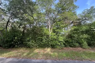 6634 N Pagoda Tree Terrace, Hernando, FL 34442 - Photo 1