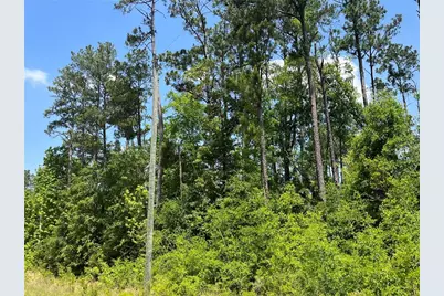 Tbd Grand Quiviera Circle, Alford, FL 32420 - Photo 3