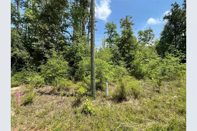 Tbd Grand Quiviera Circle, Alford, FL 32420 - Photo 7