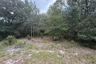 1012 Wildflower St, Lake Placid, FL 33852 - Photo 11