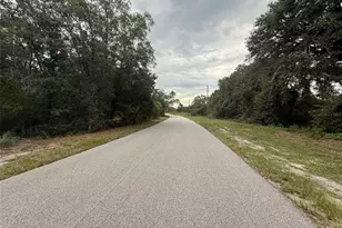 1012 Wildflower St, Lake Placid, FL 33852 - Photo 5