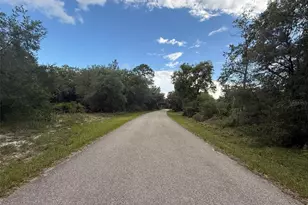 1012 Wildflower St, Lake Placid, FL 33852 - Photo 7