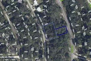 1012 Wildflower St, Lake Placid, FL 33852 - Photo 3