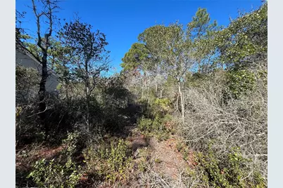 394 Royal Tern Way, Carrabelle, FL 32322 - Photo 5